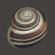 x931_727_cwgardensnailgreylogo_t55jpg